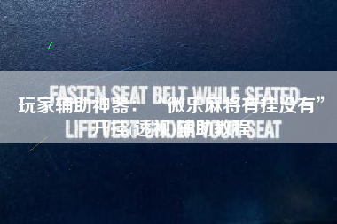 玩家辅助神器：“微乐麻将有挂没有	”开挂(透视)辅助教程