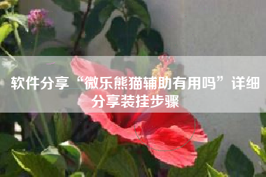 软件分享“微乐熊猫辅助有用吗”详细分享装挂步骤