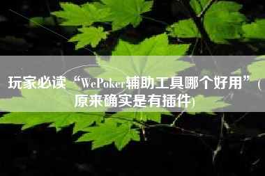 玩家必读“WePoker辅助工具哪个好用”(原来确实是有插件)