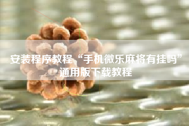 安装程序教程“手机微乐麻将有挂吗	”通用版下载教程