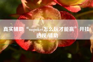 真实辅助“wepoker怎么玩才能赢”开挂(透视)辅助
