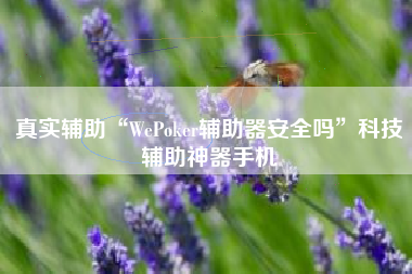 真实辅助“WePoker辅助器安全吗”科技辅助神器手机