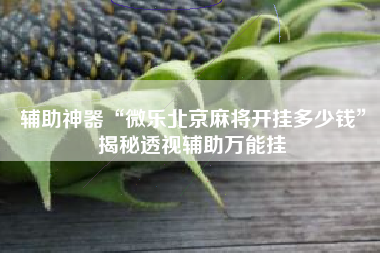 辅助神器“微乐北京麻将开挂多少钱”揭秘透视辅助万能挂