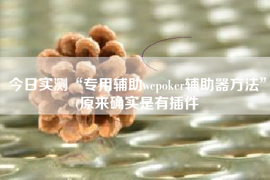 今日实测“专用辅助wepoker辅助器方法	”(原来确实是有插件