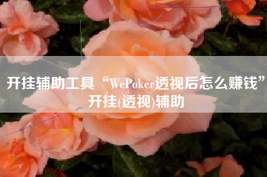 开挂辅助工具“WePoker透视后怎么赚钱”开挂(透视)辅助