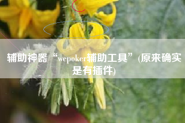 辅助神器“wepoker辅助工具”(原来确实是有插件)