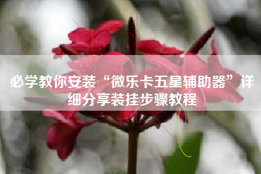 必学教你安装“微乐卡五星辅助器	”详细分享装挂步骤教程