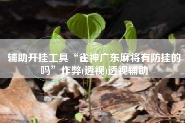 辅助开挂工具“雀神广东麻将有防挂的吗	”作弊(透视)透视辅助