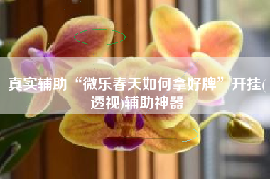真实辅助“微乐春天如何拿好牌	”开挂(透视)辅助神器