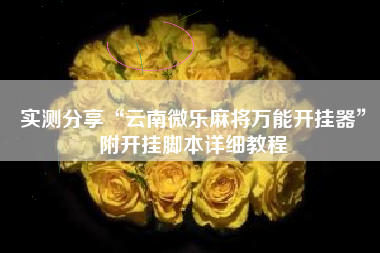 实测分享“云南微乐麻将万能开挂器”附开挂脚本详细教程