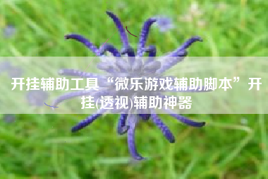 开挂辅助工具“微乐游戏辅助脚本”开挂(透视)辅助神器
