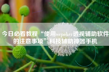 今日必看教程“使用wepoker透视辅助软件的注意事项	”科技辅助神器手机
